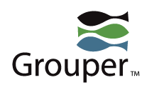 Image of Alternate Color Grouper Logo Wordmark