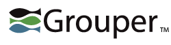 Image of Color Grouper Logo Wordmark