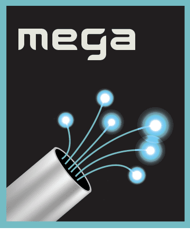 mega industry membership level