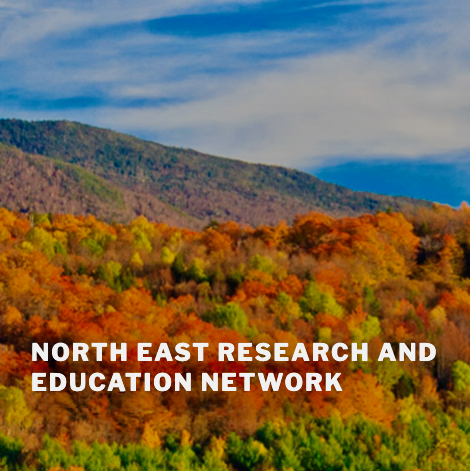 Graphic of an autumn forest displaying north east research and education network.